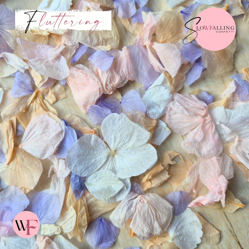 Petal Confetti hydrangea - Soft Pastel peach mix