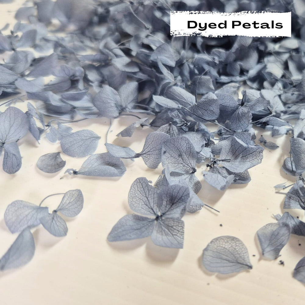 Dusty Blue hydrangea petals