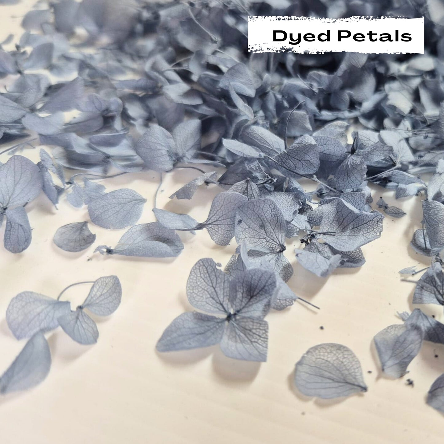 Dusty Blue hydrangea petals