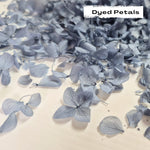 Dusty Blue hydrangea petals