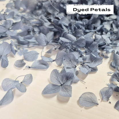 Dusty Blue hydrangea petals