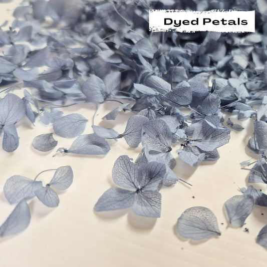 Dusty Blue hydrangea petals