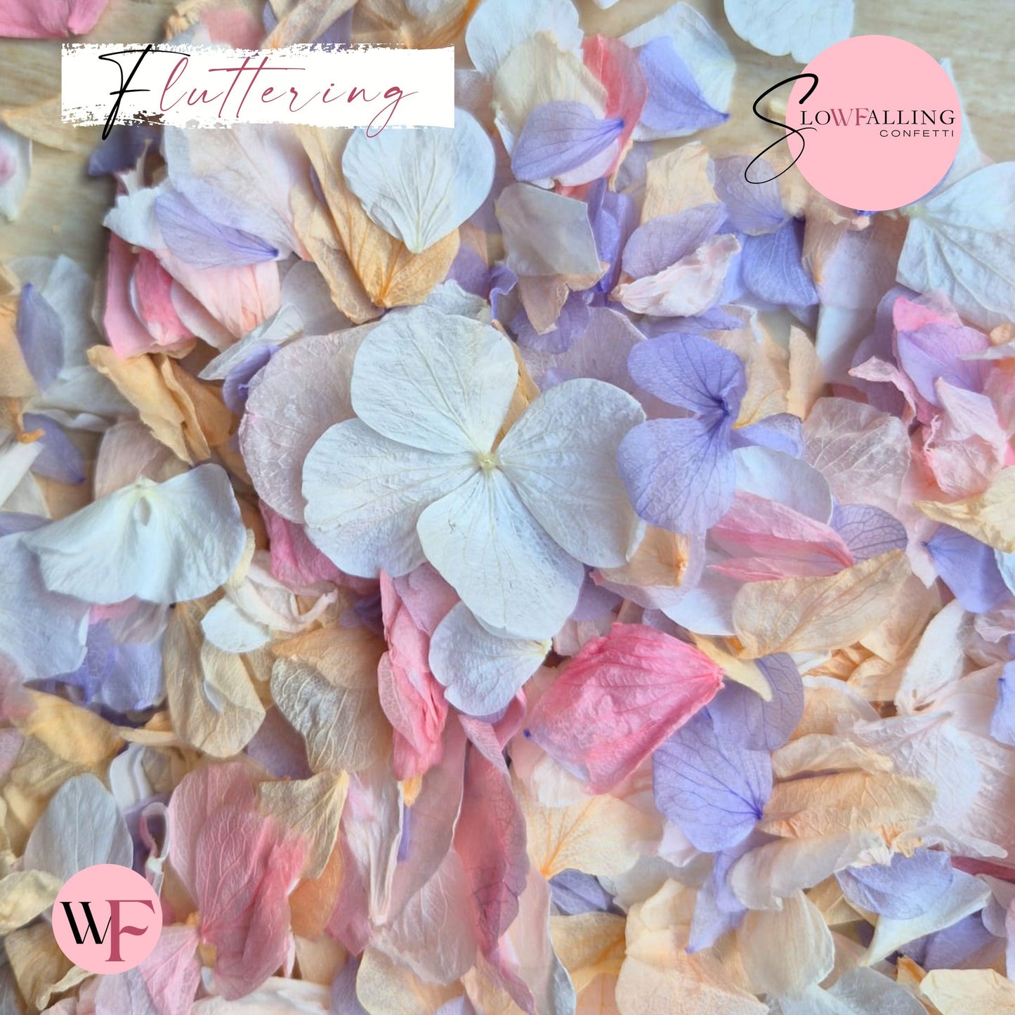 Petal Confetti hydrangea - Double pink pastel peach