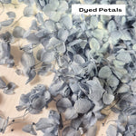 Dusty Blue hydrangea petals