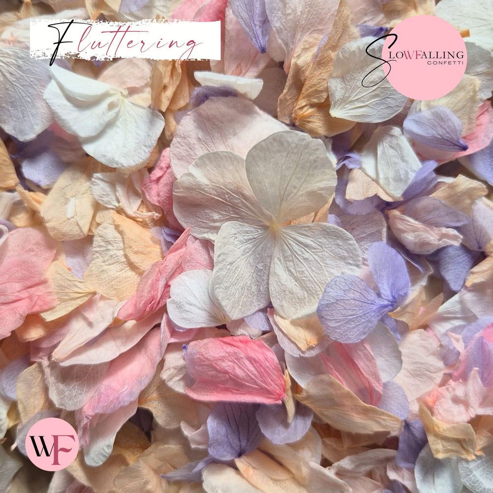 Petal Confetti hydrangea - Double pink pastel peach