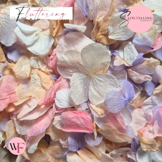 Petal Confetti hydrangea - Double pink pastel peach