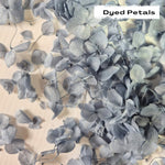 Dusty Blue hydrangea petals