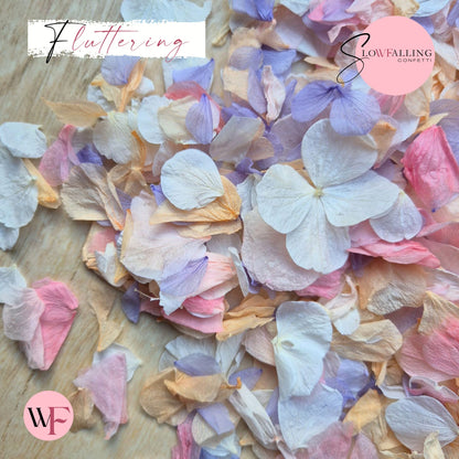 Petal Confetti hydrangea - Double pink pastel peach
