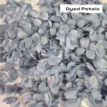 Dusty Blue hydrangea petals