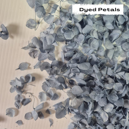 Dusty Blue hydrangea petals