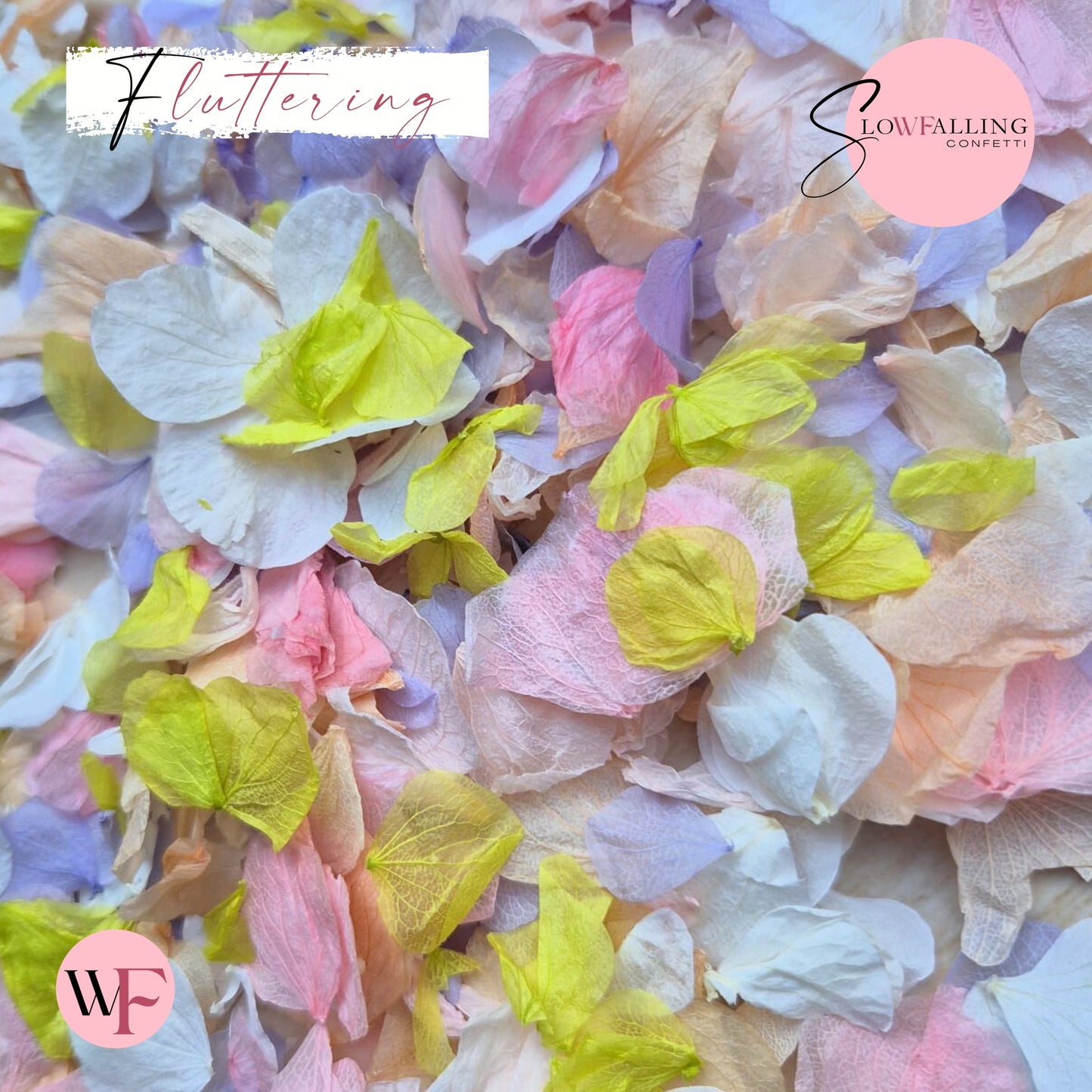 Petal Confetti hydrangea - Double pink citrus peach