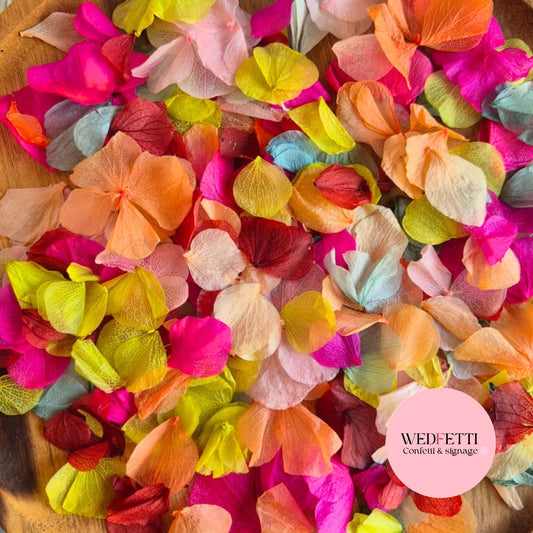 Petal Confetti hydrangea - Summer Fruit Mix