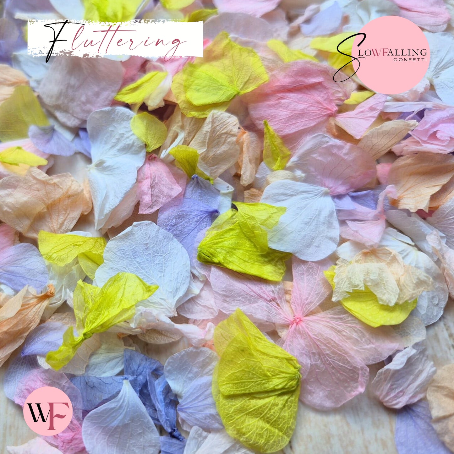 Petal Confetti hydrangea - Double pink citrus peach