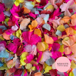 Petal Confetti hydrangea - Summer Fruit Mix