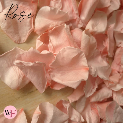 Rose Petals - Light Pink