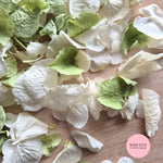 SLOW FALLING PETALS Sage + ivory white hydrangea petal premium mix