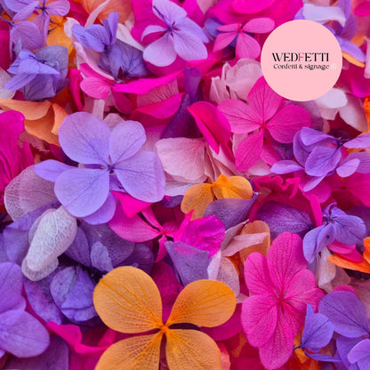 Petal Confetti hydrangea - Double Pink Orange purple + FlutterFly®