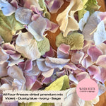 SLOW FALLING PETALS All Four freeze dried premium mix