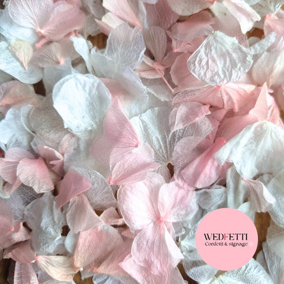 Petal Confetti hydrangea - Pink White