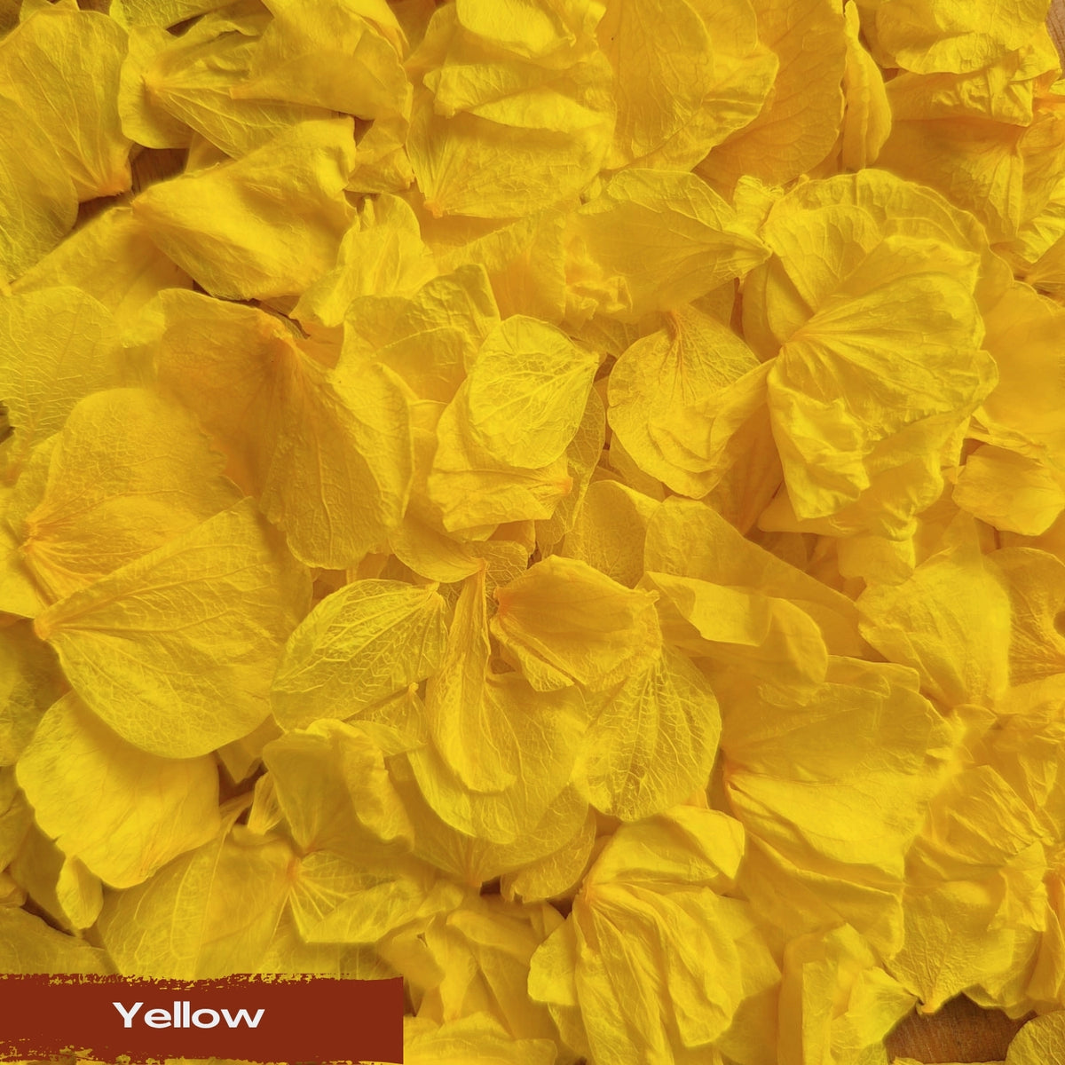 Create your own custom Hydrangea Petal Confetti mix