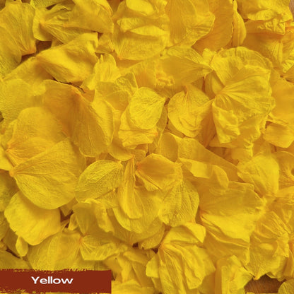 Create your own custom Hydrangea Petal Confetti mix