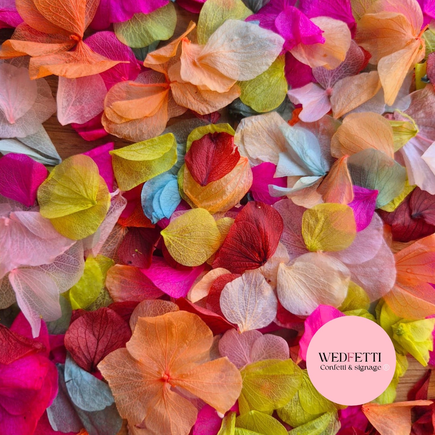 Petal Confetti hydrangea - Summer Fruit Mix