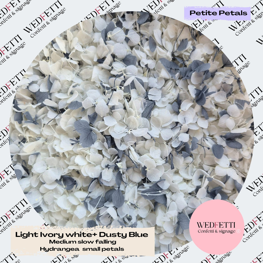 Light Ivory white & Dusty Blue Hydrangea petals