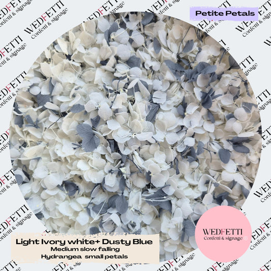 Light Ivory white & Dusty Blue Hydrangea petals