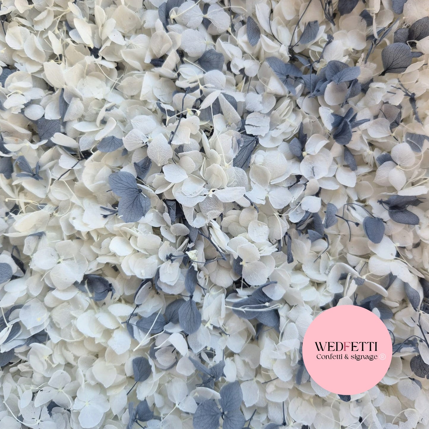 Light Ivory white & Dusty Blue Hydrangea petals