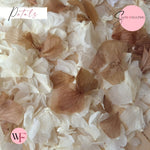 Petal Confetti hydrangea - White Chocolate