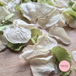 SLOW FALLING PETALS Sage + ivory white hydrangea petal premium mix