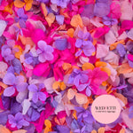 Petal Confetti hydrangea - Double Pink Orange purple + FlutterFly®