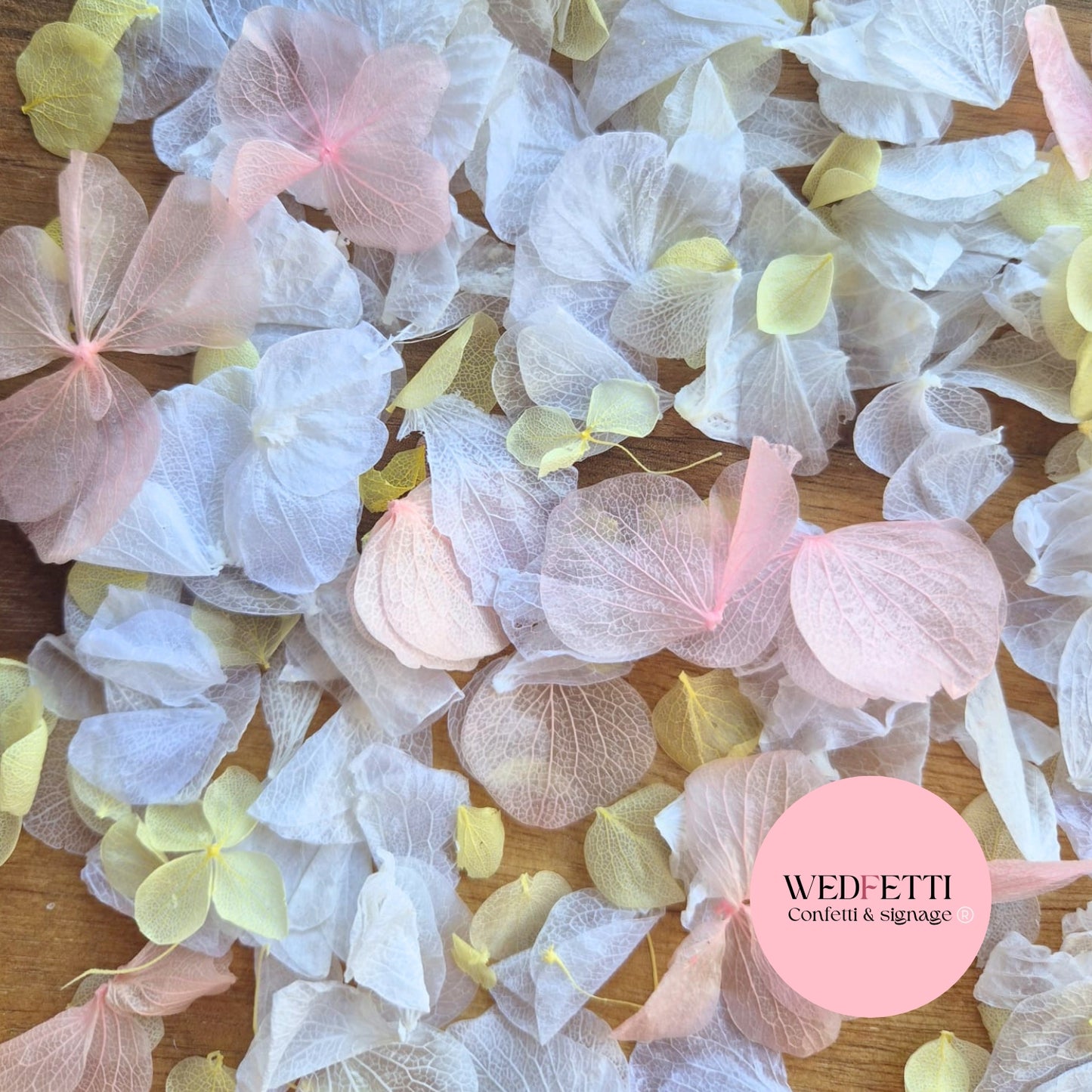Petal Confetti hydrangea - Pink Lemon White