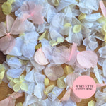 Petal Confetti hydrangea - Pink Lemon White