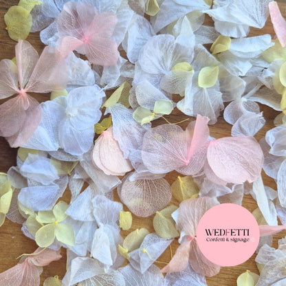Petal Confetti hydrangea - Pink Lemon White
