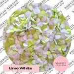 Slow falling paper Confetti - Lime White