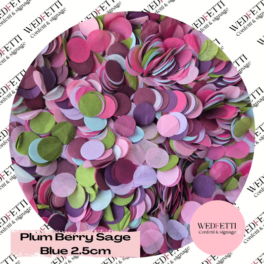 Circles Large 2.5cm Biodegradable - Plum Berry Sage Blue