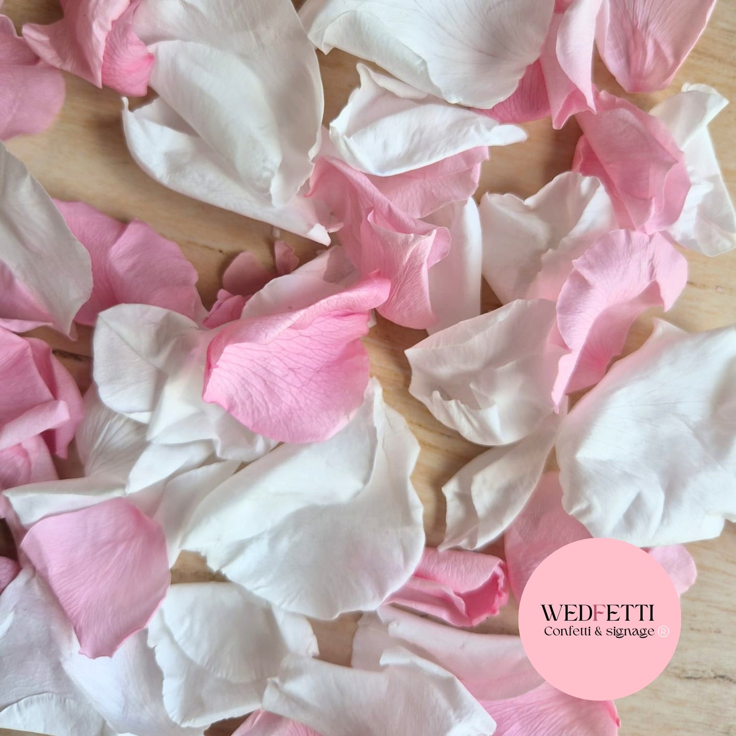 Rose Petals - Rose Pink White