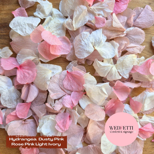 Petal Confetti hydrangea - Dusty Pink Rose Pink Light Ivory