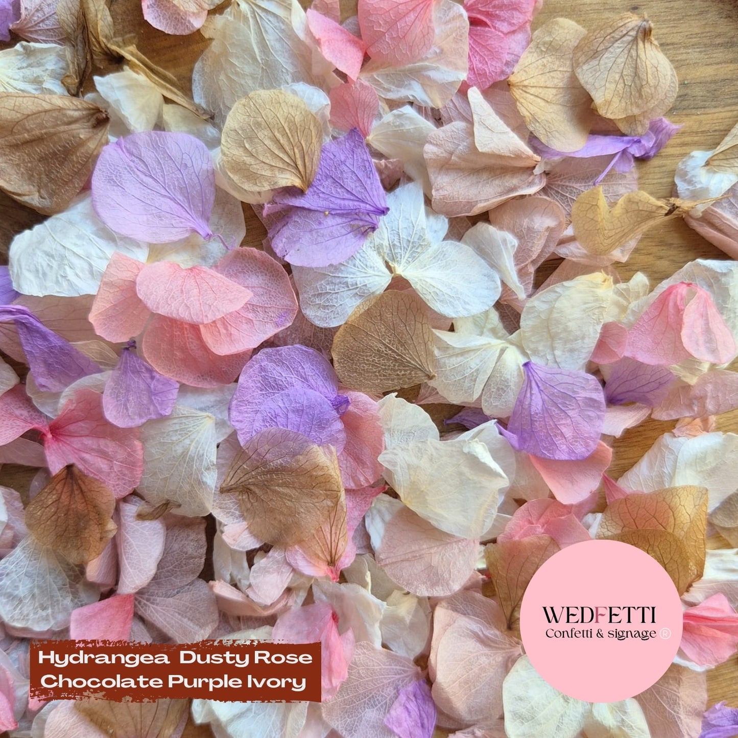 Petal Confetti hydrangea - Dusty Rose Chocolate purple Light Ivory