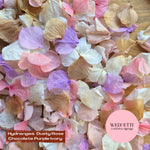 Petal Confetti hydrangea - Dusty Rose Chocolate purple Light Ivory