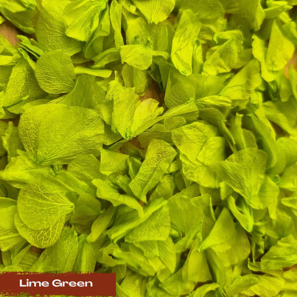 Create your own custom Hydrangea Petal Confetti mix