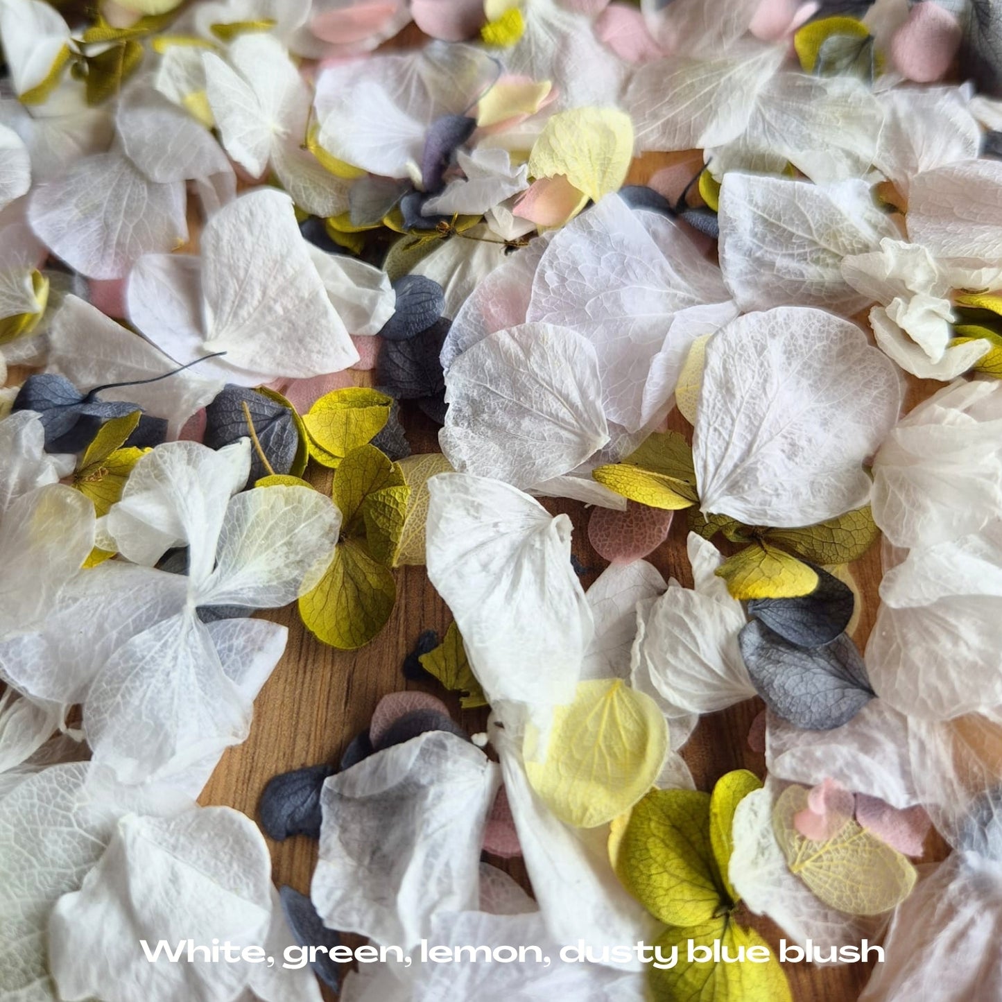Petal Confetti hydrangea - White Green Dusty Blue lemon blush