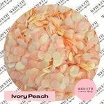 Slow falling paper Confetti - Ivory Peach
