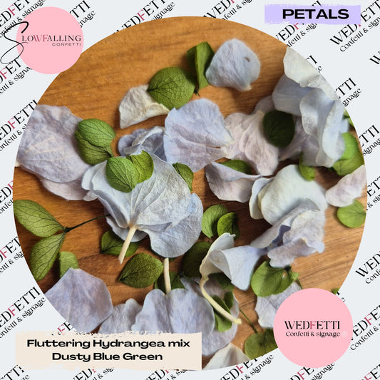 SLOW FALLING PETALS Fluttering Hydrangea Mix - Dusty Blue Green