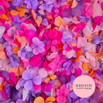 Petal Confetti hydrangea - Double Pink Orange purple + FlutterFly®