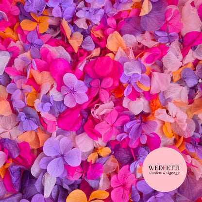 Petal Confetti hydrangea - Double Pink Orange purple + FlutterFly®