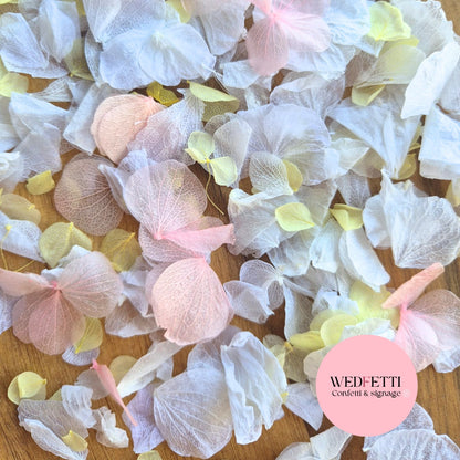 Petal Confetti hydrangea - Pink Lemon White