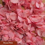 Create your own custom Hydrangea Petal Confetti mix
