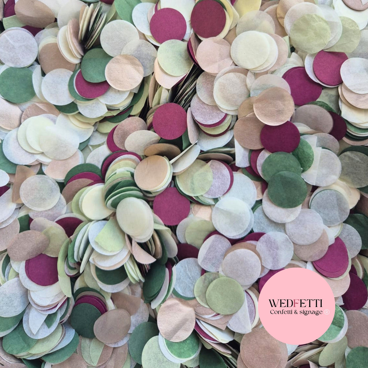 Circles Large 2.5cm Biodegradable - Light Rose Gold Light Ivory Light Sage Forest PlumB